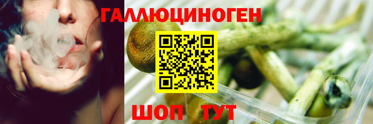 Псилоцибиновые грибы мухоморы Красноуфимск